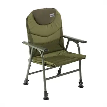 

Armchair carp (hs-bd620-084203) Helios
