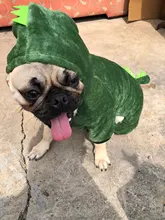 Ropa para perros pequeños y medianos, con dinosaurio de terciopelo, gruesa y cálida, De Cuatro Piernas, ropa para perros y gatos