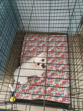 Cama grande para perro, colchoneta de espuma viscoelástica, transpirable, colchón ortopédico de fondo Oxford, para mascota mediana grande pequeña