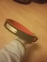 Dog-Collar Id-Plate Engraved Dogs Pitbull Custom Personalized Padded with Tag 2-Layers