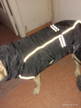 Jackets Dog-Coats Outdoor Winter Pet-Dog Dogs Large Medium for Warm Clothing Kurtka Ubranka