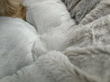 Sofa Bench Pet-Kennel Dog-Bed Dogs Small Large House-Mats Pet-Products Cats Durable 