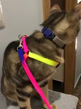 Collar ajustable para mascotas y gatos conjunto de Correa y arnés para gatos y perros, mascotas pequeñas, arcoiris de nailon, conejo, correa para perros Katten Halsband