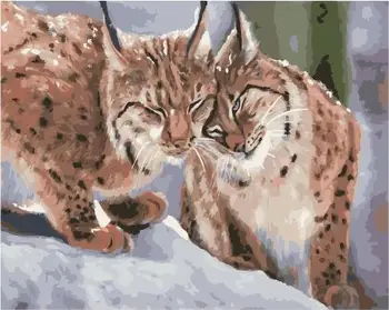 

Painting by numbers GX 26467 winter Lynx 40*50