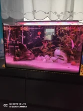 Luces LED para cultivo de plantas, luces para peceras, luces pequeñas con Clip, accesorios de irradiación para acuario, lámpara de decoración