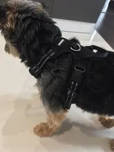 Truelove Pet Dog Harness Large Small For Pitbull Reflective Safety Harness For Dogs