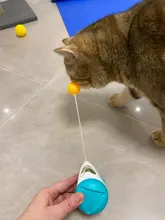 Pet Cat Toys for Cats Kitten Puzzle Interactive Tumbler Swing Self Balance Chasing Toy