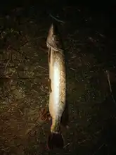 Floating Wobbler Crankbait-Tackle Fishing-Lure Minnow Hard-Bait Treble-Hooks Swimbait