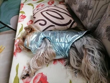 Ropa para perros grandes, chaleco impermeable para perros grandes, chaqueta de otoño e invierno, abrigo para perros cálidos, ropa para perros, Chihuahua Labrador S-7XL