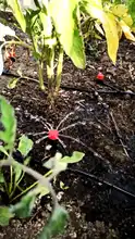 1/4 manguera riego por goteo sistema 360 grados ajustable 8 agujero Kit de aspersores de riego del jardín insertar suelo gotero de microflujo