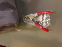 Cortaúñas para mascotas, cortauñas para perros, cortaúñas para gatos de acero inoxidable, tijeras para garras de Animal cortado