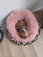 Cat Bed Bench Pet-Bed Chihuahua Kennel Dog-House Large-Mat Round Plush Long for Big Super-Soft