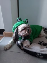 Ropa cálida de invierno Para Perro, Abrigo con capucha, disfraz de Perro, chaqueta de lana Para Bulldog Francés, Chihuahua