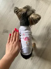 Ropa de perro para perros pequeños estampado bonito verano mascotas camiseta perro ropa chaleco para gatos mascota de algodón de T camisa Pug ropa trajes