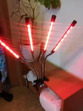 LED Grow Light USB Phyto Lamp Full Spectrum Grow Tent Complete Kit Phytolamp for Plants