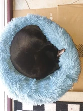 Cama de Gato supersuave, 14 colores, redonda, mullidas de gato, cesta para dormir, larga felpa, cálida, alfombrilla para mascotas, perrera ligera de tacto cómodo