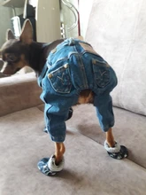 Jeans Clothing Jacket Coat Dog-Costume Puppy Dogs Small Denim Pet Medium for Chihuahua