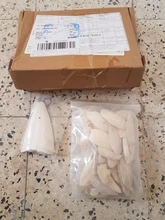 Cuttlefish Products Birds Tortoise Bone Chew-Toy Parrot Health-Care for Pet-Budgie Reptiles