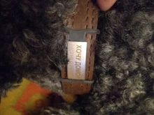 Etiqueta de policarbonato para perros, placa de identificación de silicona de acero inoxidable, Collar para perro, antipérdida, placas de identificación, goma extensible