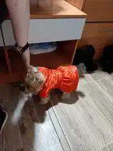 Abrigo con tutú y estampado de leopardo para perros y cachorros ropa de invierno con capucha, chaqueta reversible para perros pequeños