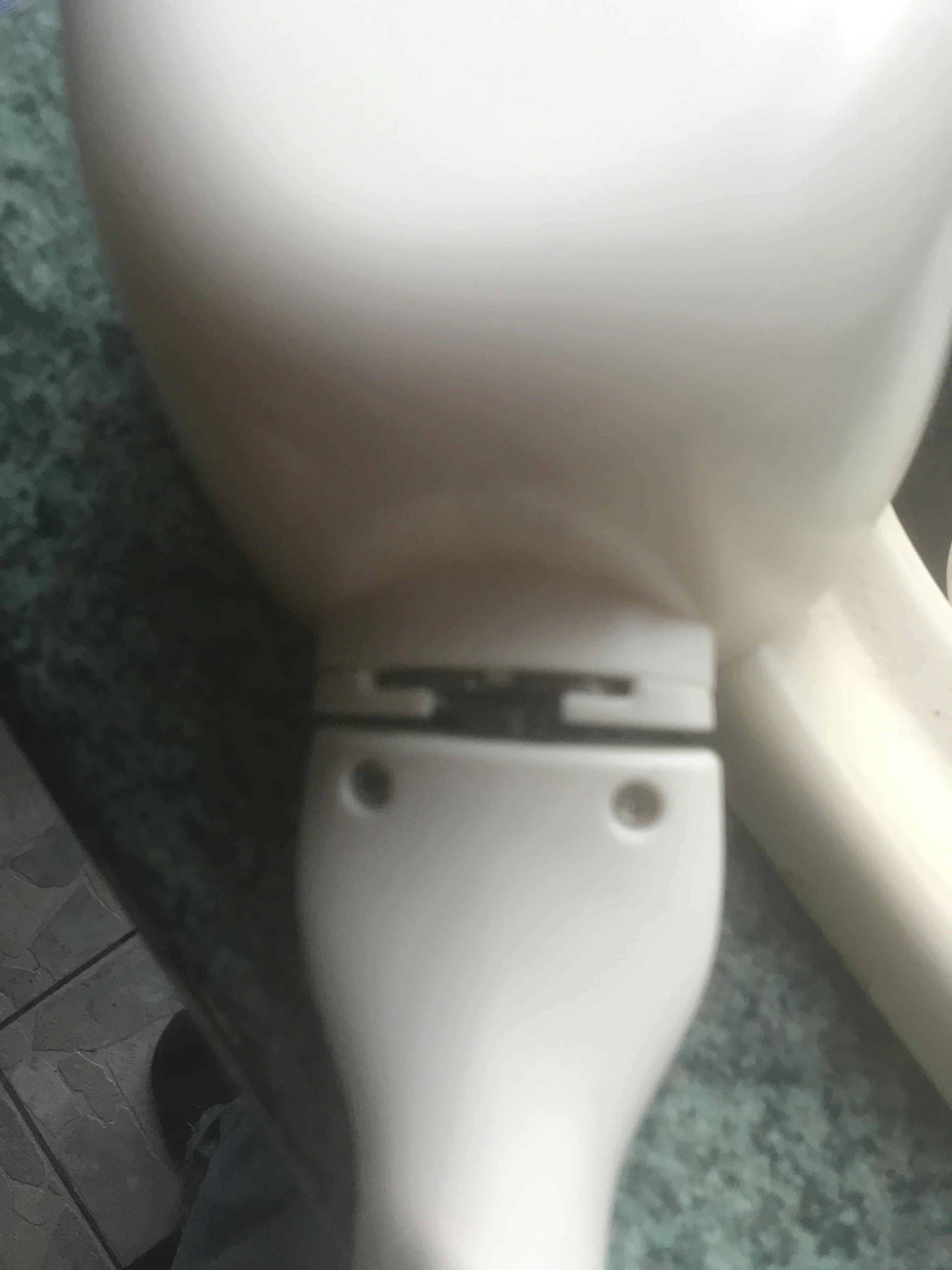 Dog Food Weighing Scales Pet Food Scale