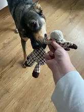 Toys Dog-Toy Puppy-Chew Pet-Training Plush-Sound Squeaky Animal-Shape Fun