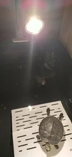Conjunto de lámpara para reptiles UVA + UVB 3,0, con soporte de bombilla con Clip y termómetro, higrómetro, Tortuga, Kit de lámpara de calentamiento de base