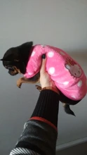 La mascota de abrigos para gato chaqueta de lana caliente, perro ropa para perros pequeños perros Chihuahua ropa de Yorkshire ropa de abrigo para perros