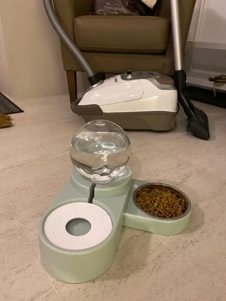 Dog Perfect Bubble Bowl - Automatic Water Drinking photo review