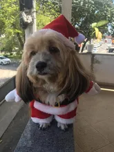 Christmas Pet Dog Cat Costumes Funny Santa Claus Costume For Dogs Cats Winter Warm Dog