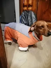 Winter Overalls for Dogs Warm Waterproof Pet Jumpsuit Trousers Male/ Female Dog Reflective