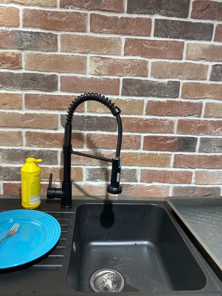 SPIRO SINGLE-HOLE KITCHEN FAUCET WITH PULL-DOWN SPRING SPOUT FAUCET photo review