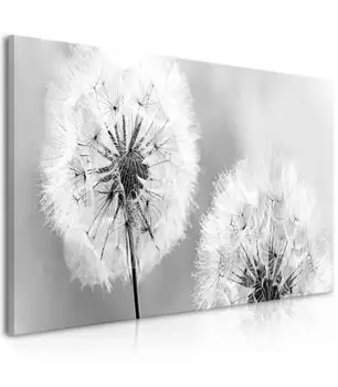 

Picture-Fluffy Dandelions (1 Part) gray Wide