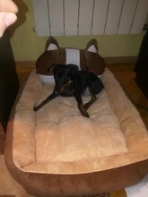 Dog-Beds Sofa Dogs-House Small Large Cute Kennel Dogs-Accessories Anti-Stress Animal-Shape