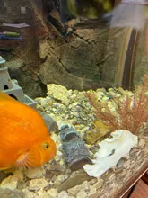 Aquarium-Decoration Statue Terrarium Island-Stone Resin Ornament Easter Fish-Tank Home-Decor