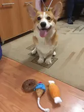 Donut Pet Toy Dog Chew Throw Toys Sightly Lovely Ice Cream Puppy Cat Squeaker Quack Sound