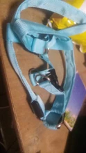 Arnés de seguridad LED de nailon para mascotas, producto para perro, Con luz intermitente, correa, Collar, chaleco, suministros para mascotas