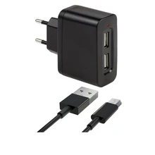 Зарядное устройство от сети Interstep Комбо: 2USB+ каб miniUSB ток 1А