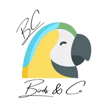 B***o
