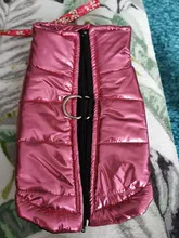 Coat Jacket Vest Bulldog-Clothing Puppy Dogs-Chihuahua French Waterproof Large Winter