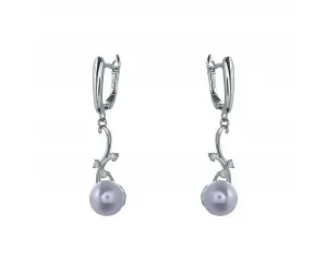 

925 silver earrings