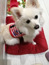 Arnés ajustable para Collar de perro, Correa creativa de estilo traje marino para el pecho, cuerda de tracción segura para perros medianos pequeños y gatos