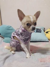 Puppy Vest Coat Clothing Jacket Dogs Chihuahua Waterproof Large Winter Medium Pet-Dog