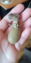 Conjunto de 3 unidades de Mini dinosaurio para incubar, juguete para niños, dinosaurio creciente, figura de acción para bebé, envío directo