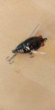Fishing-Lures Wing Popper Hard-Bait Topwater-Wobbler Insect Simulation-Cicada Artificial