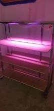 Phyto-Lamp Floodlight Seeding-Lamp Flower Plants-Tent Grow-Box Outdoor Full-Spectrum