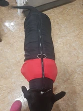 Coat Jacket Puppy-Vest Dogs Waterproof Winter Medium Pet-Dog Zipper Small Large Warm