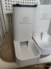 Feeding-Bowl Drinker Fountain Automatic-Feeder Dog Cats Small Plastic Pet-Dog-Cat Safety