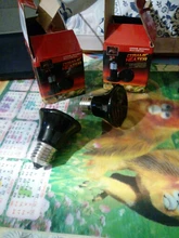 Lámpara de calefacción para mascotas, emisor de cerámica infrarrojo negro de 25W, 50W, 75W y 100W, Bombilla de calor para pollos, lámpara para reptiles de 220-240V