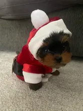 Costume Jackets Yorkie-Outfit Cat-Clothing Puppy Small Dogs Coat Hooded Pet-Dog Winter Dog